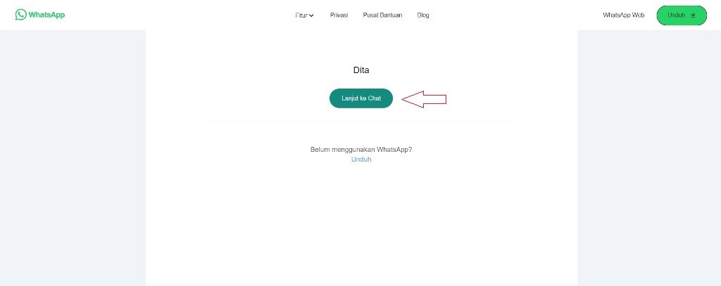 Cara Chat WA Tanpa Save Nomor